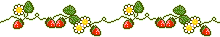 divider image with stars